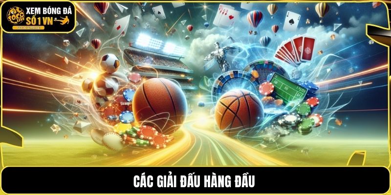 Các giải đấu hàng đầu