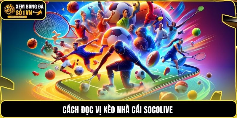 Cách đọc vị kèo nhà cái socolive