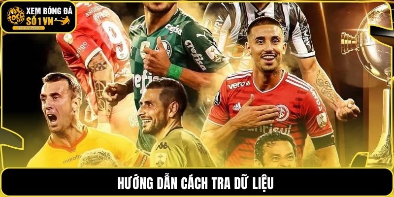 Hướng dẫn cách tra dữ liệu