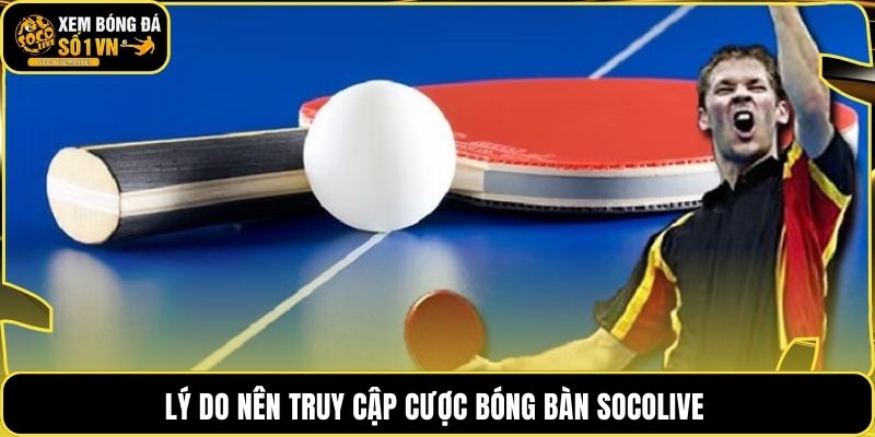 Lý do nên truy cập cược bóng bàn Socolive