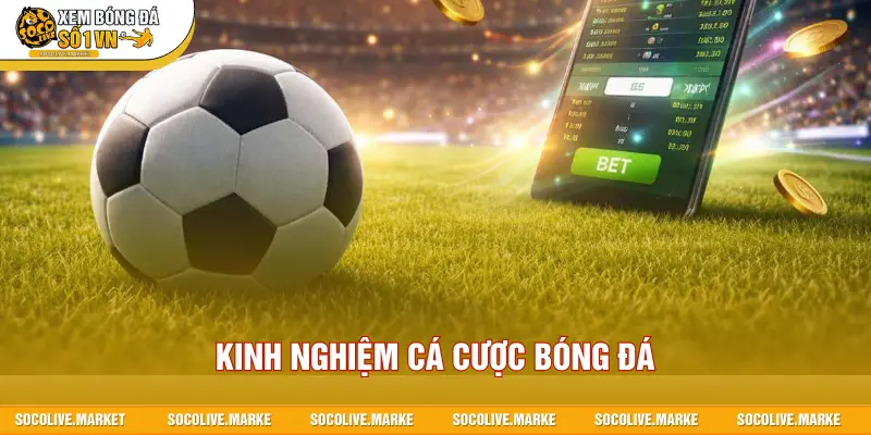 Kinh nghiệm cá cược bóng đá